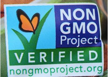 GMO Foods